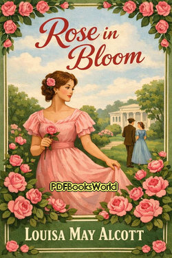 Rose in Bloom Rose in Bloom