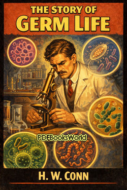 The Story of Germ Life The Story of Germ Life