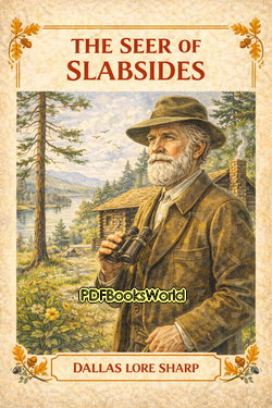 The Seer of Slabsides The Seer of Slabsides