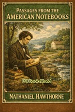 Passages from the American Notebooks