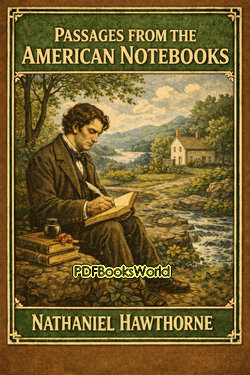 Passages from the American Notebooks Passages from the American Notebooks