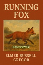 Running Fox Running Fox