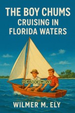 The Boy Chums Cruising in Florida Waters
