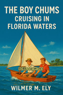 The Boy Chums Cruising in Florida Waters The Boy Chums Cruising in Florida Waters