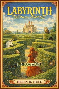 Labyrinth Labyrinth