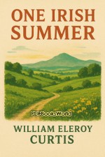 One Irish Summer One Irish Summer