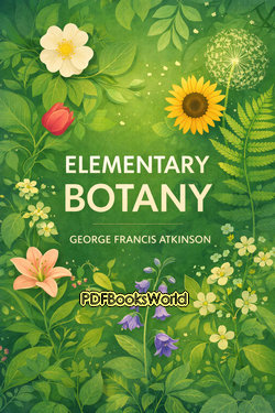 Elementary Botany Elementary Botany