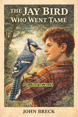 The Jay Bird Who Went Tame The Jay Bird Who Went Tame
