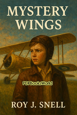 Mystery Wings Mystery Wings