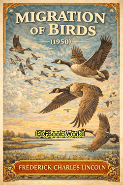 Migration of Birds (1950) Migration of Birds (1950)