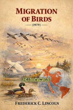 Migration of Birds (1979) Migration of Birds (1979)