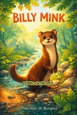 Billy Mink
