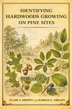 Identifying Hardwoods Growing on Pine Sites Identifying Hardwoods Growing on Pine Sites