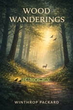 Wood Wanderings