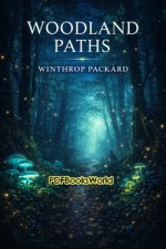 Woodland Paths