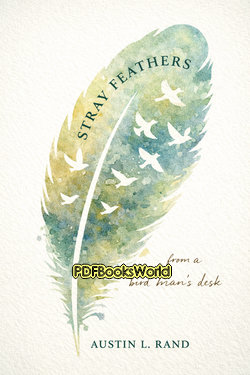 Stray Feathers From a Bird Man's Desk Stray Feathers From a Bird Man's Desk