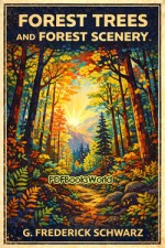Forest Trees and Forest Scenery