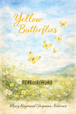 Yellow Butterflies Yellow Butterflies