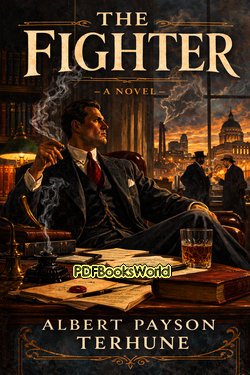 The Fighter The Fighter