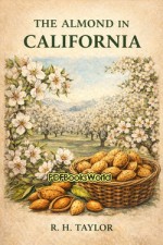 The Almond in California The Almond in California