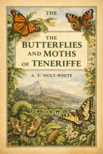 The Butterflies and Moths of Teneriffe