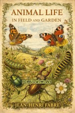 Animal Life in Field and Garden