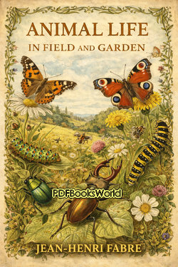 Animal Life in Field and Garden Animal Life in Field and Garden