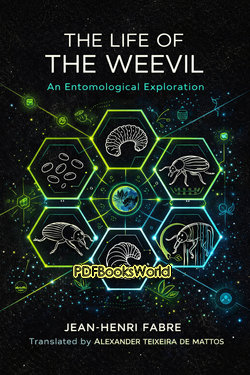 The Life of the Weevil The Life of the Weevil