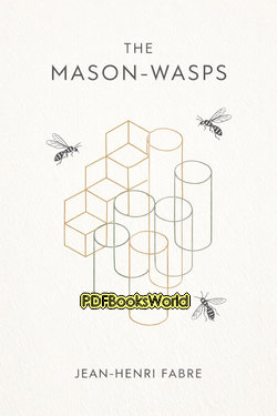 The Mason-Wasps The Mason-Wasps