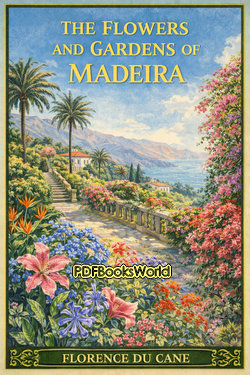 The Flowers and Gardens of Madeira The Flowers and Gardens of Madeira