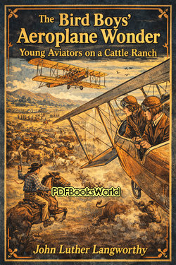 The Bird Boys' Aeroplane Wonder The Bird Boys' Aeroplane Wonder