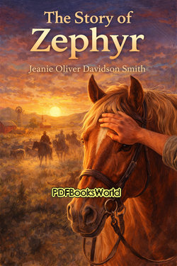The Story of Zephyr The Story of Zephyr