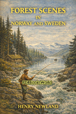 Forest Scenes in Norway and Sweden Forest Scenes in Norway and Sweden