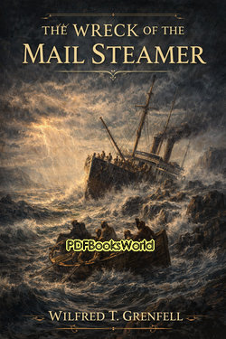 The Wreck of the Mail Steamer The Wreck of the Mail Steamer