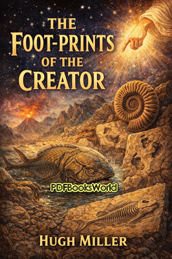 The Foot-prints of the Creator The Foot-prints of the Creator