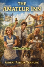 The Amateur Inn