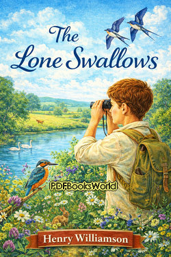 The Lone Swallows The Lone Swallows