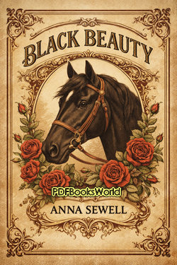 Black Beauty Black Beauty