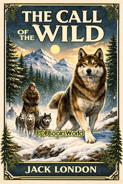 The Call of the Wild The Call of the Wild