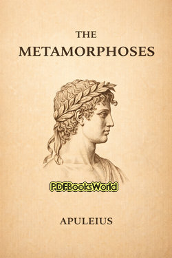 The Golden Asse or The Metamorphoses The Golden Asse or The Metamorphoses