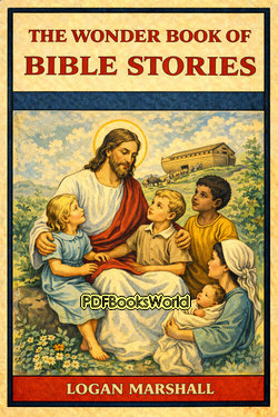 The Wonder Book of Bible Stories The Wonder Book of Bible Stories