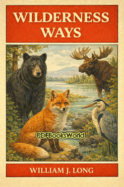 Wilderness Ways Wilderness Ways