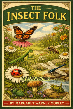 The Insect Folk The Insect Folk