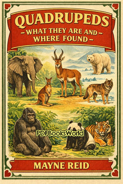 Quadrupeds, What They Are and Where Found Quadrupeds, What They Are and Where Found