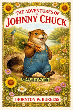 The Adventures of Johnny Chuck The Adventures of Johnny Chuck