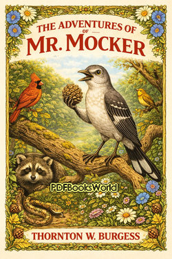 The Adventures of Mr. Mocker The Adventures of Mr. Mocker