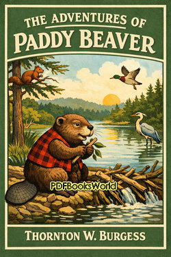 The Adventures of Paddy Beaver The Adventures of Paddy Beaver