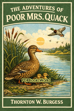 The Adventures of Poor Mrs. Quack The Adventures of Poor Mrs. Quack