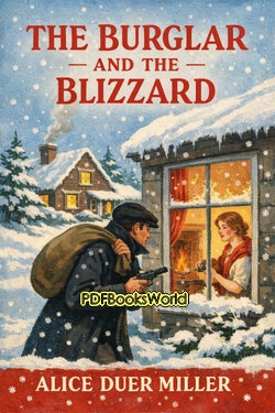 The Burglar and the Blizzard The Burglar and the Blizzard