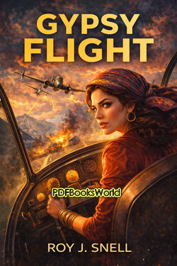 Gypsy Flight Gypsy Flight